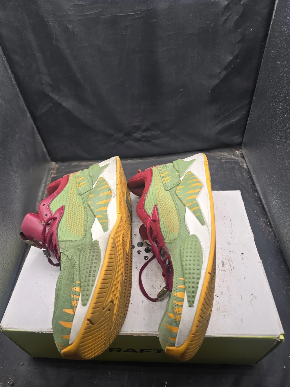 Puma bold color